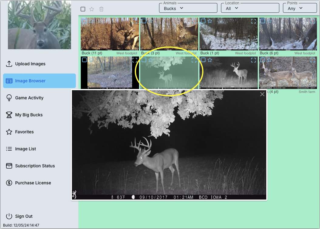 Image showing how click an image thumbnail to see the full size image in the app